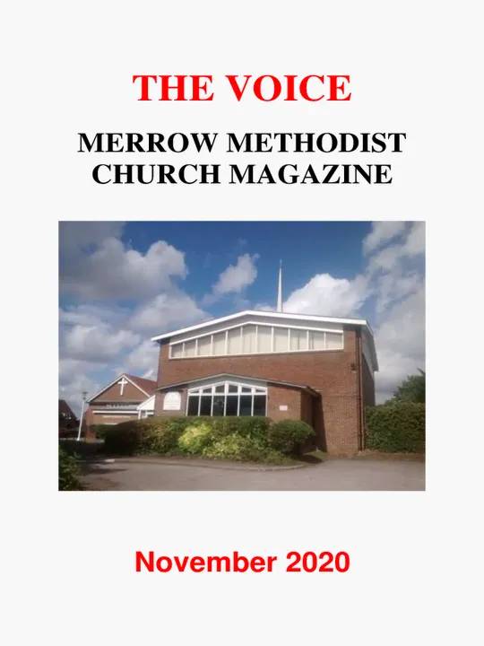 The Voice &ndash; November 2020