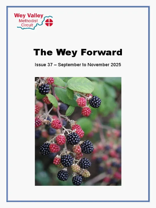 The Wey Forward Issue 37 &ndash; September to November 2025