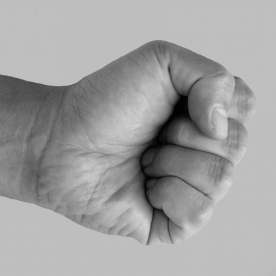 Fist